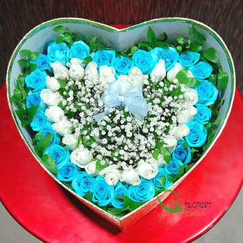 Box of blue roses