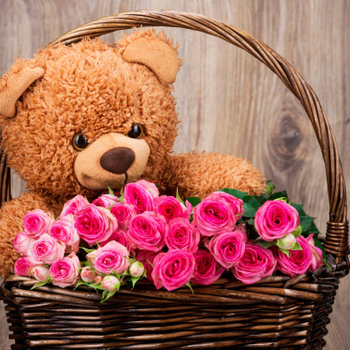 Combo Teddy Bear and 24 Pink Rose