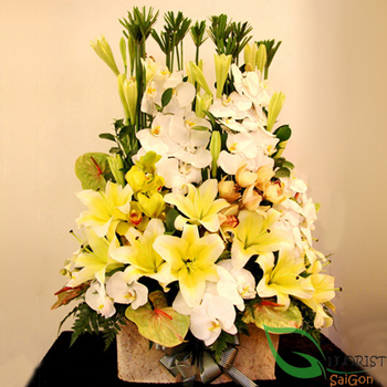 Vip flowers free delivery Hochiminh city