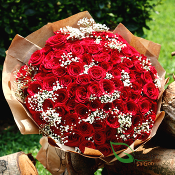 99 red roses with baby breath beauty