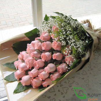 Pink roses and baby's breath