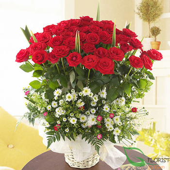 Red roses arrangement for Christmas