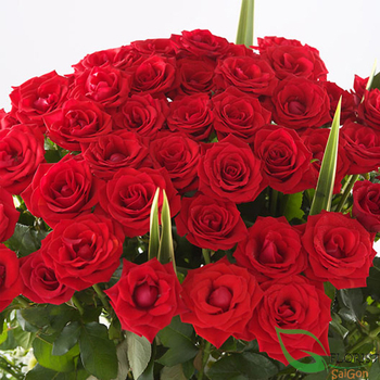 Red roses arrangement for Christmas in HCM city