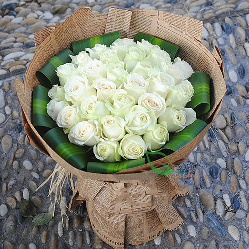 White Roses Delivery
