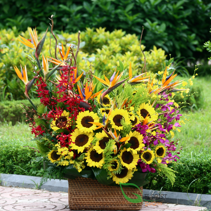 HCM flower delivery free shipping