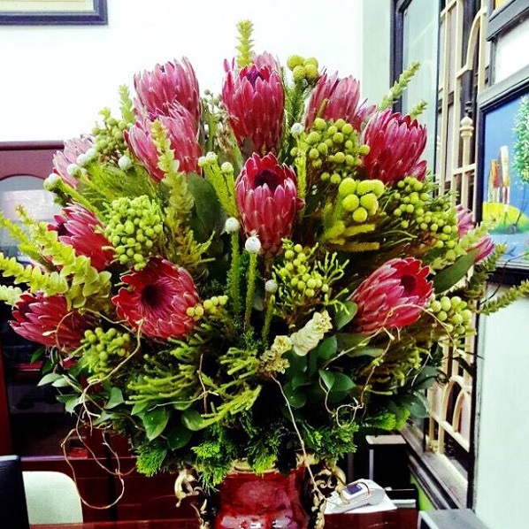 The meaning of protea flower