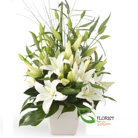 White lily flowers for Christmas