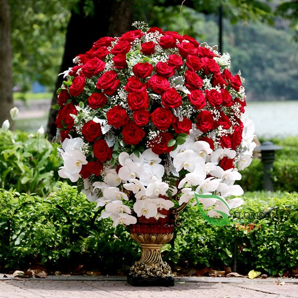 Premium red rose arrangement for Valentines day