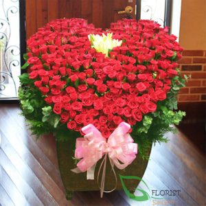 Red roses for love