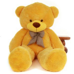 Hanoi teddy bear