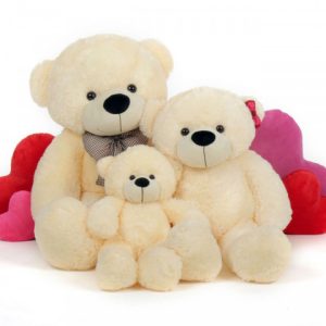 Teddy Bear Family