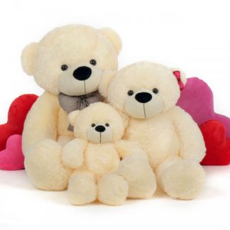 Teddy Bear Family