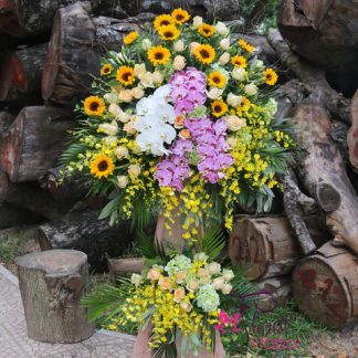 Congratulations for opening company in Hanoi