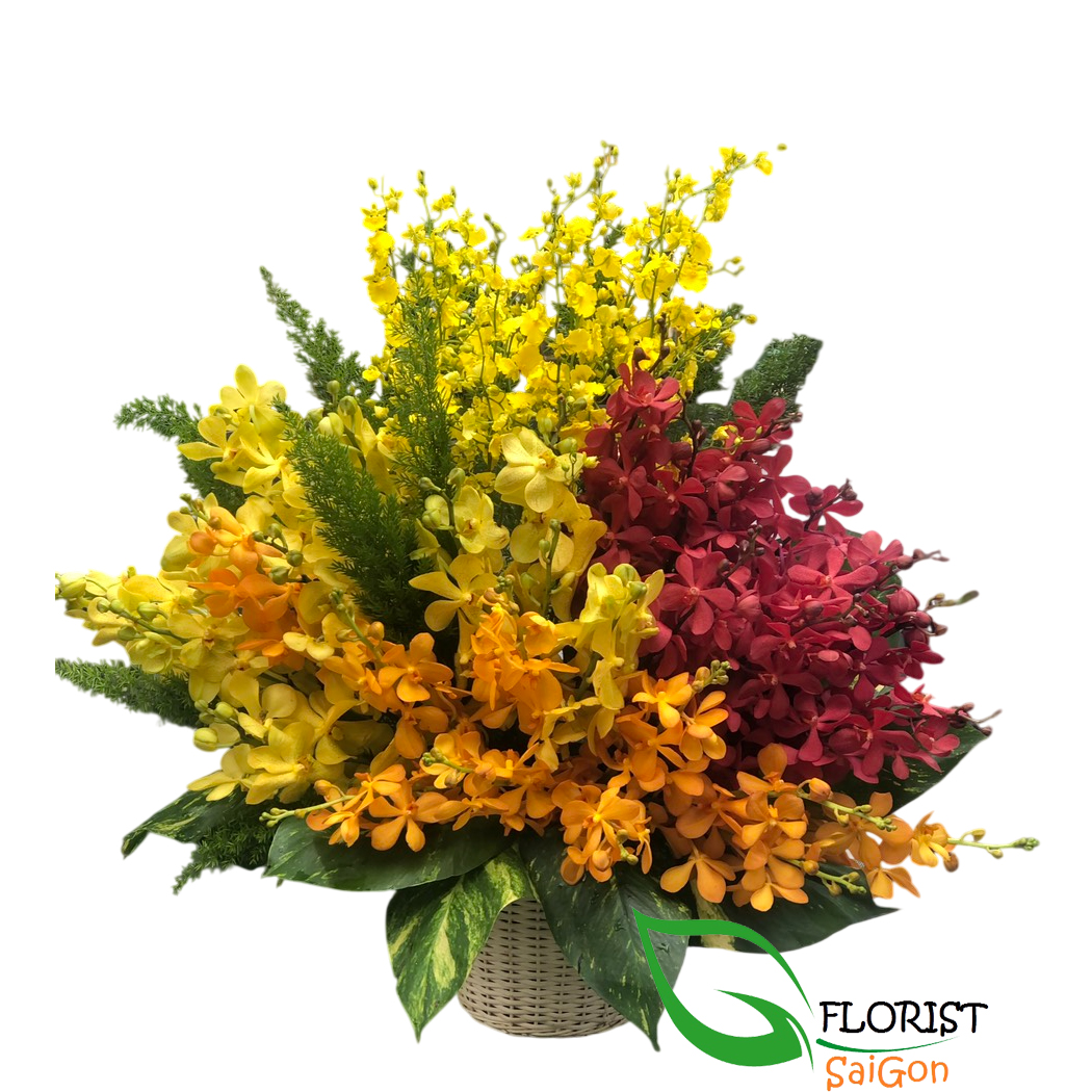 Mokara orchid arrangement for birthday