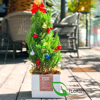 Mini Christmas tree delivery Saigon