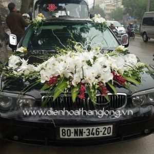 WEDDING CAR 010