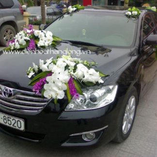 WEDDING CAR 018