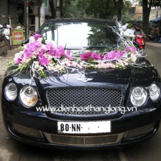 WEDDING CAR 019