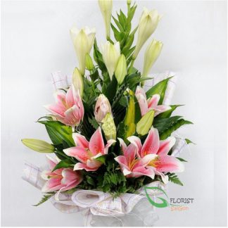 Pink lily flower Saigon