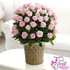 Romantic rose for girlfriend