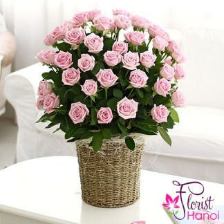 Romantic rose for girlfriend