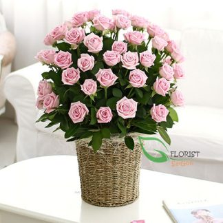 Romantic roses for her