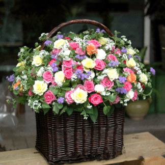 Send 99 roses to Hochiminh city