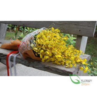 Yellow orchids flowers