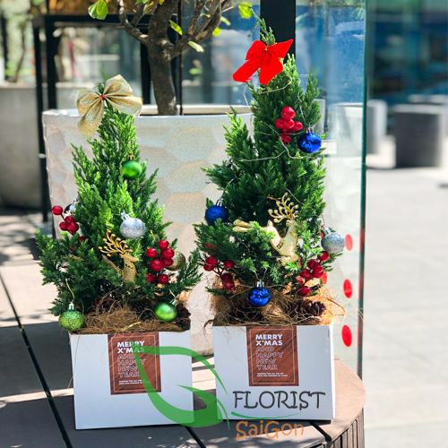 Christmas tree delivery Saigon