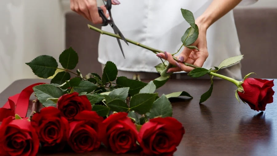 trimming flower stems to keep flowers fresh longer